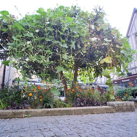 Le Perroquet Fringant, Rue Pietonne Et Quartier Historique Apartment Caen Bagian luar foto