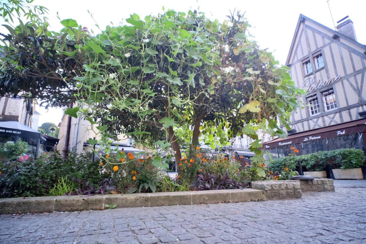Le Perroquet Fringant, Rue Pietonne Et Quartier Historique Apartment Caen Bagian luar foto
